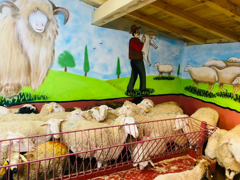 Kurbanlık Galeri Fotoğrafı