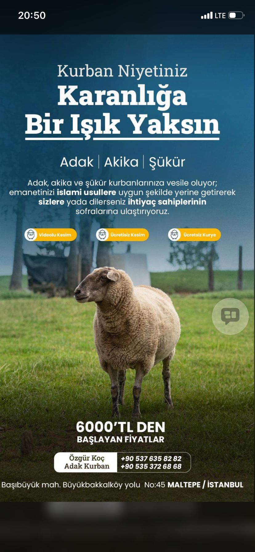 Kurbanlık Galeri Fotoğrafı